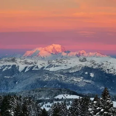 Les Etoiles Vue Mont Blanc Chalet *