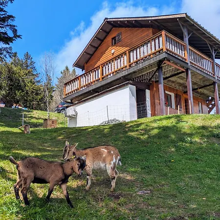 Les Etoiles Vue Mont Blanc Chalet
