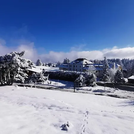 Les Etoiles Vue Mont Blanc