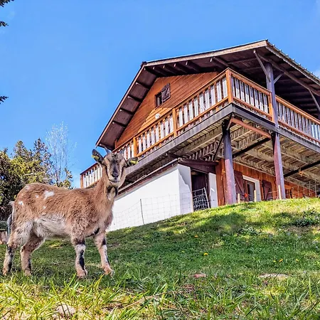 Chalet Les Etoiles Vue Mont Blanc *