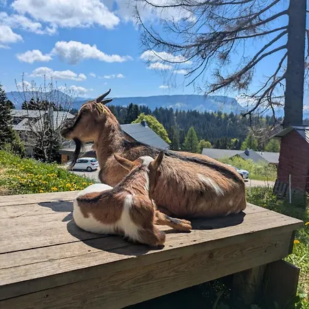 Les Etoiles Vue Mont Blanc Chalet Pugny-Chatenod