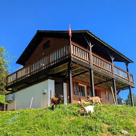 Les Etoiles Vue Mont Blanc * Pugny-Chatenod
